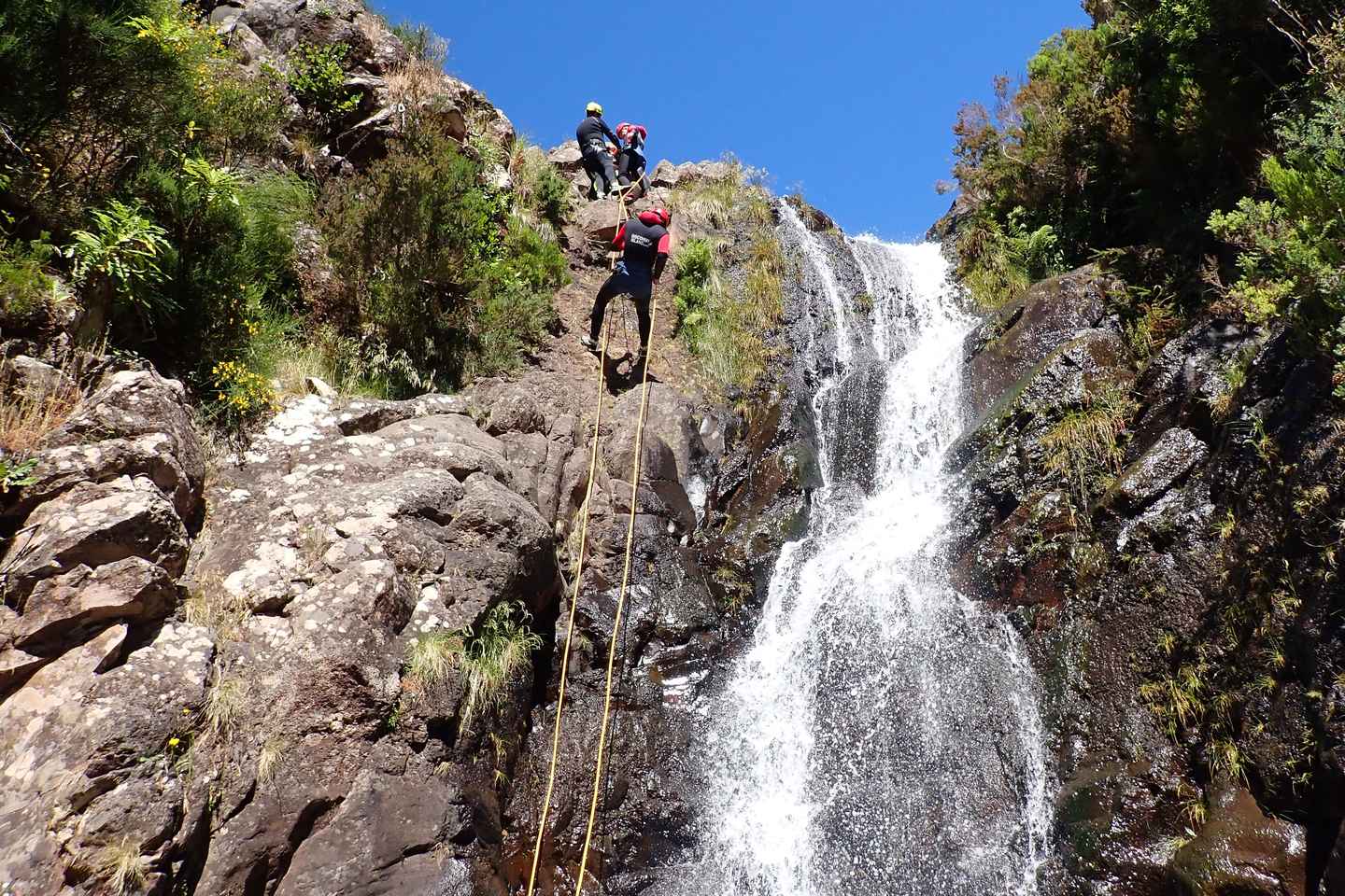 Madeira: Beginner (Level 1) Canyoning Experience