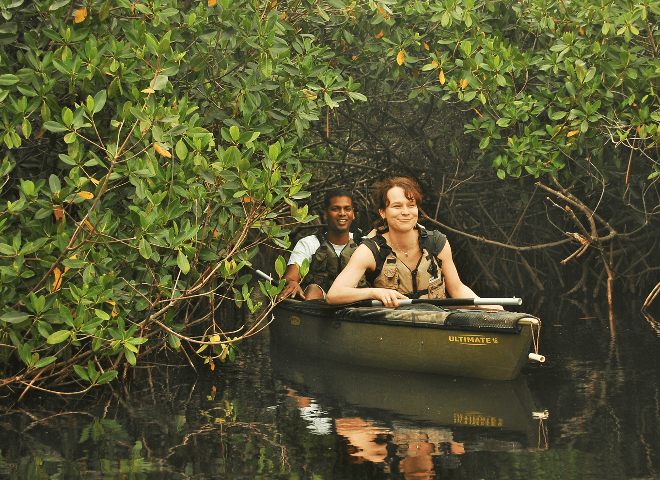 Everglades National Park: Mangrovetunnel-kajak-økotur