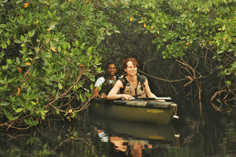Everglades National Park: Mangrove Tunnel Kayak Eco-Tour