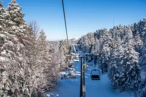 From Tbilisi: Borjomi and Bakuriani Ski Resort Private Tour