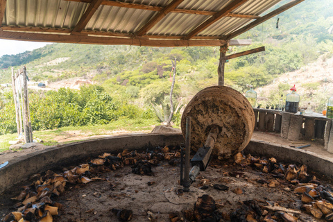 De Oaxaca: Conheça um Maestro Mezcalero