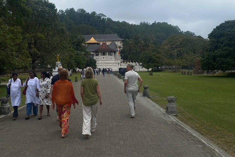 Kandy Temple, Tea & Tradition – An Authentic Experience