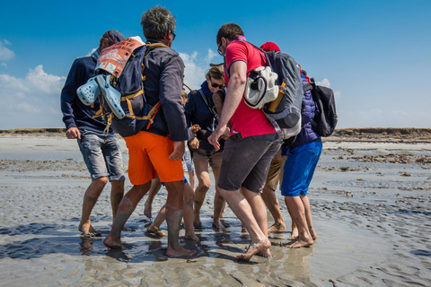Mont Saint-Michel : Walk with an English-speaking guide