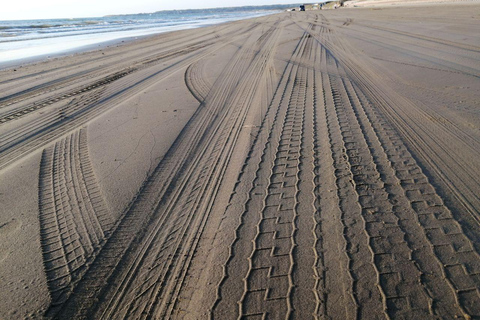 Kanazawa: Beach Drive and Mochi-Making Experience