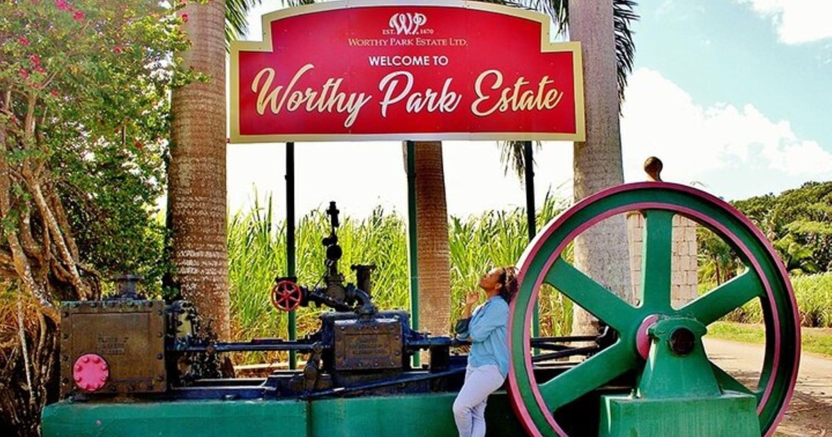 Worthy Park Single Estate Reserve Jamaica Rum (워디 파크 싱글 에스테이트 자메이카 럼)