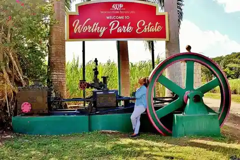 Jamaica: Visita a Worthy Park Rum Estate