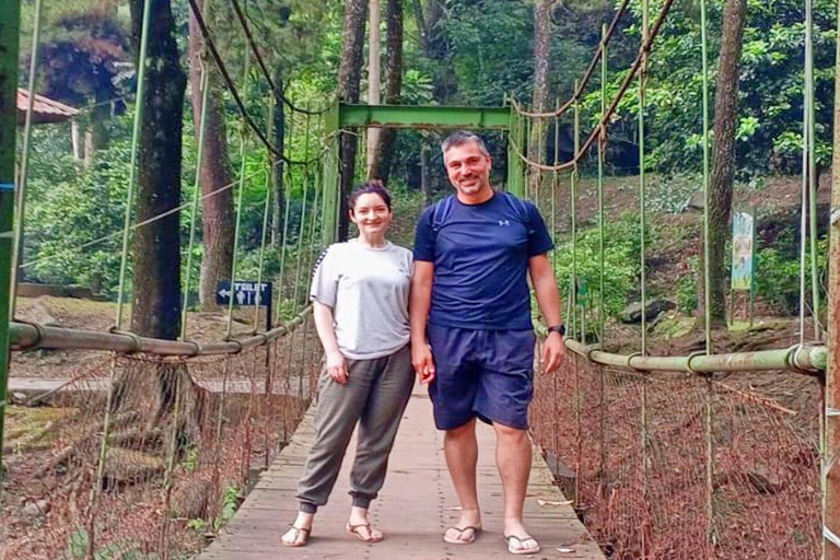 Jardin botanique de Jakarta Bogor, rizière et cascade