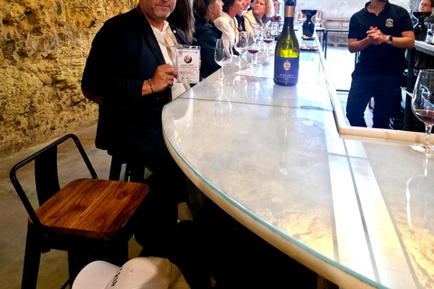 Loire Valley Wine Tour from Paris: 2 Wineries & 10 Tastings Premium Option