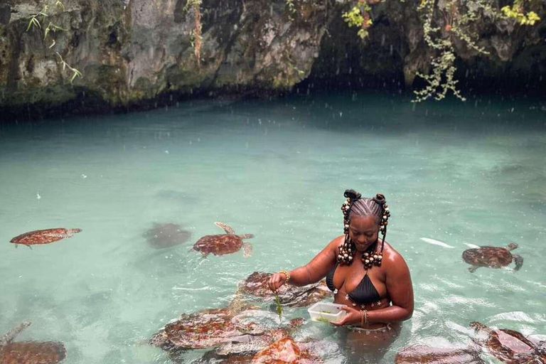 Zanzibar: Sea turtle Swim at Salam cave in Kizimkazi village Zanzibar: Swim with sanctuary Tortoise at salam and transfer