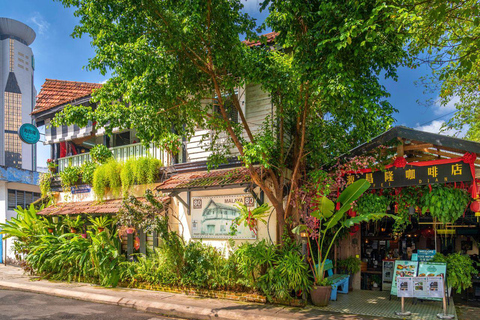 Kuala Lumpur: Michelin Guided Chinatown Heritage and Flavors