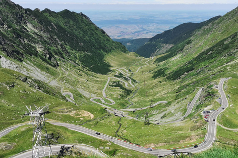 Bucharest: Top Gear Road & Wild Brown Bears, group max 8 pax Bucharest: Transfăgărășan Top Gear Road & Wild Brown Bears