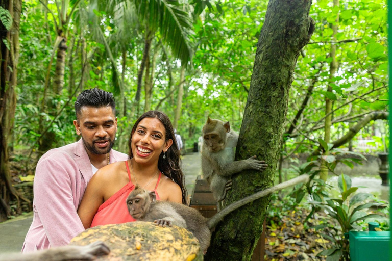 Ubud Monkey Forest, Temple, Rice Terrace and Waterfall Tour Day Tour With Private Tour & All Tickect Included