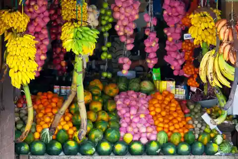 Visite nocturne de 7 nuits et 8 jours au Sri Lanka