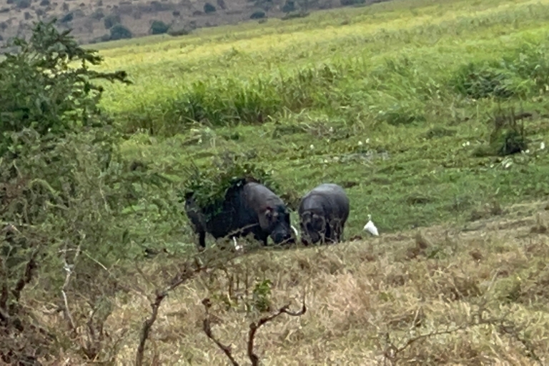 4 Day Rwanda Wildlife Safari & Gorilla Trekking Trip