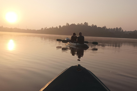 Mirissa: Kayaking & Bird watching Experience Sunrise or Sunset Bird watching Kayaking (Pickup included)