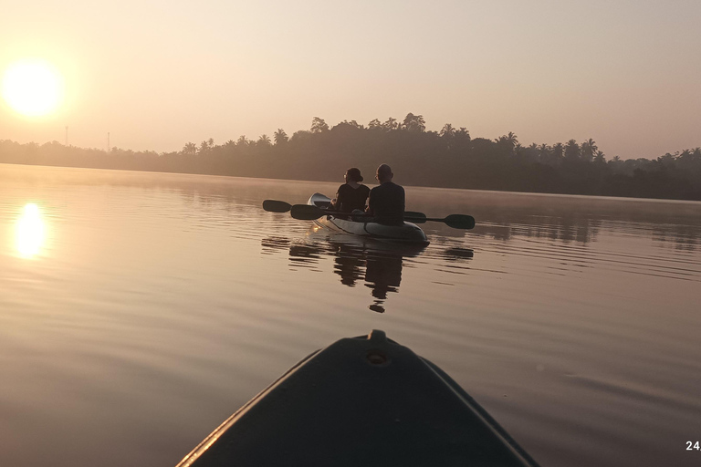 Mirissa: Kayaking & Bird watching Experience Sunrise or Sunset Bird watching Kayaking (Pickup included)