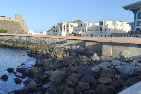 Muscat: 12 - Hours Wadi Adventure & Muscat City Tour