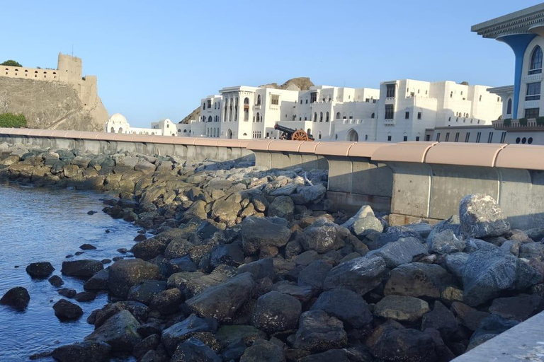 Muscat: 12 - Hours Wadi Adventure & Muscat City Tour