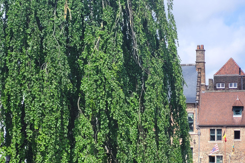 2-Day Tour from Paris: Luxembourg, Brussels, Ghent & Bruges