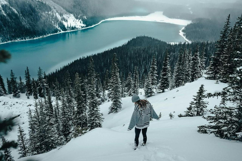 Lac Louise, lac Peyto, canyon de Johnston et promenade des GlaciersTravel Alberta Canmore Visitor Center prise en charge