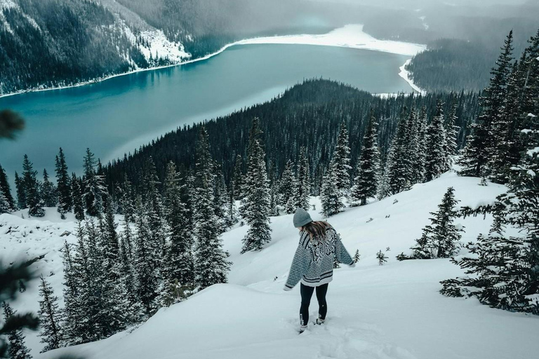 Lac Louise, lac Peyto, canyon de Johnston et promenade des GlaciersTravel Alberta Canmore Visitor Center prise en charge