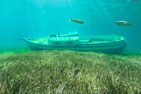Nassau: gita di un giorno a Sun Cay, snorkeling, incontro con l'iguana e pranzo