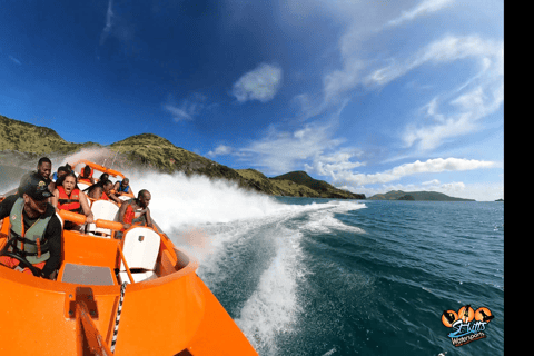 الرياضات المائية في سانت كيتس: جولة بالقارب النفاث