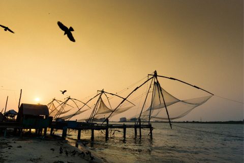 Highlights of Kochi, Guided Half-Day Tour by Car