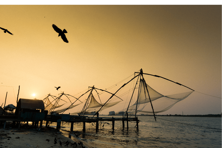 Highlights of Kochi, Guided Half-Day Tour by CarHighlights of Kochi, Guided Half-Day Car Tour