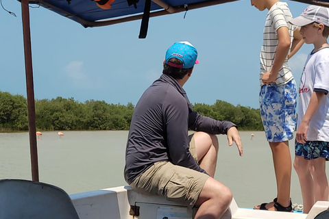 From Merida: Sightseeing tour to Celestún, Flamenco Route, Mangroves, and Estuary From Merida: Tour to Celestun, Flamenco Route, Mangroves, and Estuary