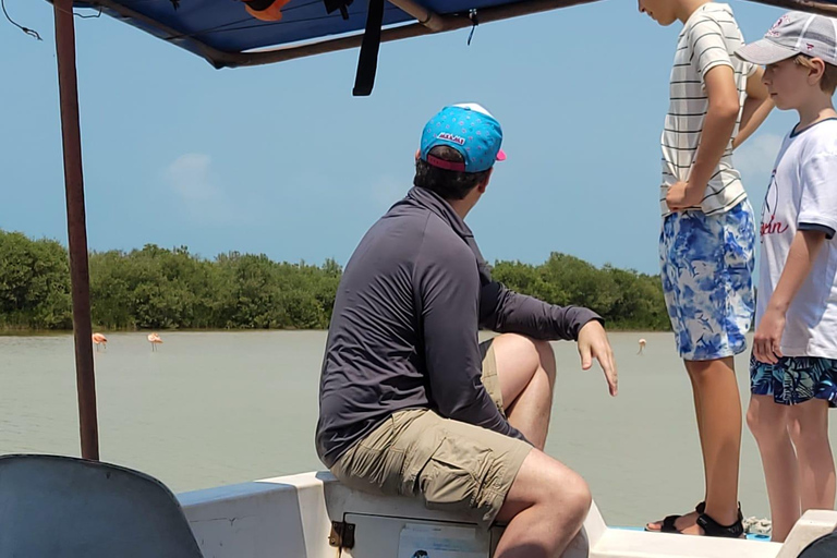 From Merida: Sightseeing tour to Celestún, Flamenco Route, Mangroves, and Estuary From Merida: Tour to Celestun, Flamenco Route, Mangroves, and Estuary