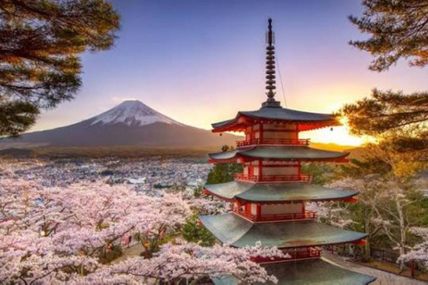 From Tokyo: Mt. Fuji & Hakone Private Scenic Day Tour