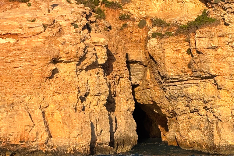 Gozo: Ix-Xatt l-Aħmar Private Boat Trip