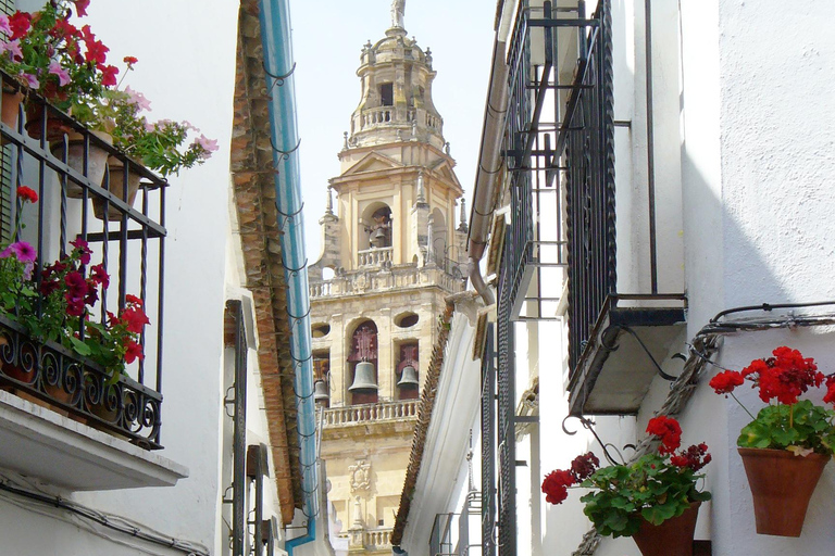 From Madrid: Cordoba Day Trip by High-Speed Train Cordoba Day Trip from Madrid by Train