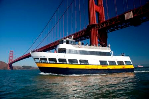 San Francisco: Tour in autobus Hop-on Hop-off e crociera sulla Baia