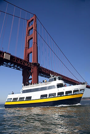 San Francisco: Hop-On Hop-Off City Bus Tour and Bay Cruise
