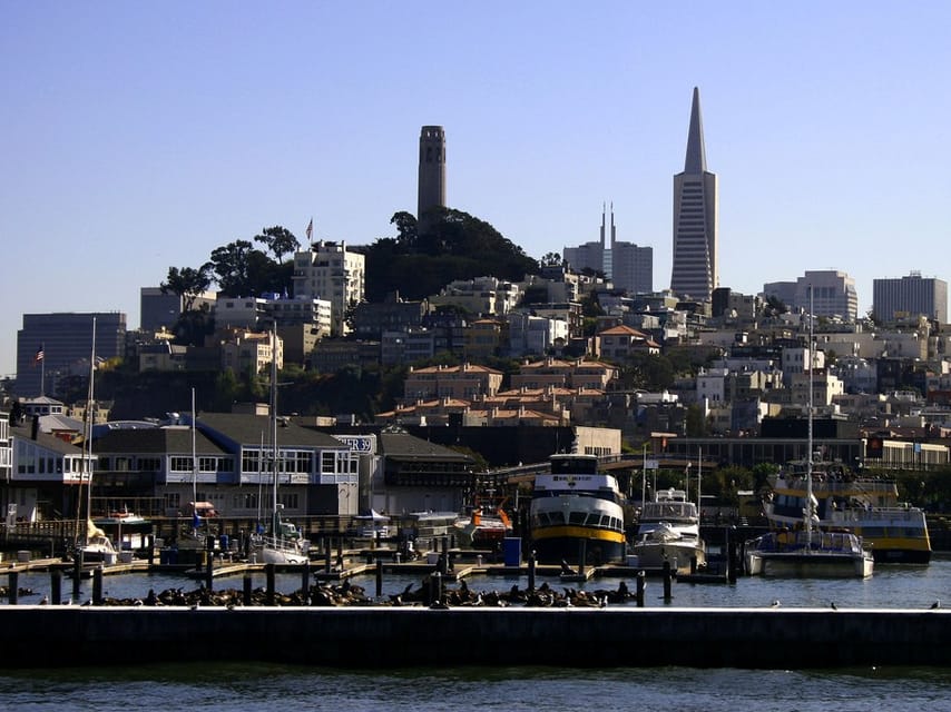 San Francisco: Hop-On Hop-Off City Bus Tour and Bay Cruise image 2
