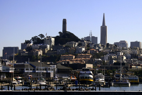 San Francisco: Tour in autobus Hop-on Hop-off e crociera sulla Baia