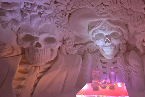 Levi: Private Snow Village tour. Northern lights possibility