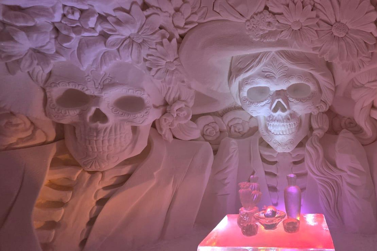 Levi: Private Snow Village tour. Northern lights possibility