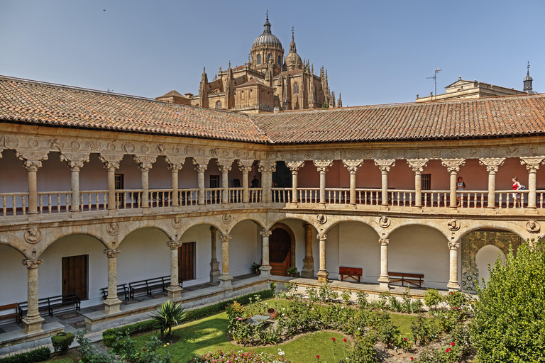 Excursion to Salamanca and Zamora with ham tasting from Valladolid Spanish Tour