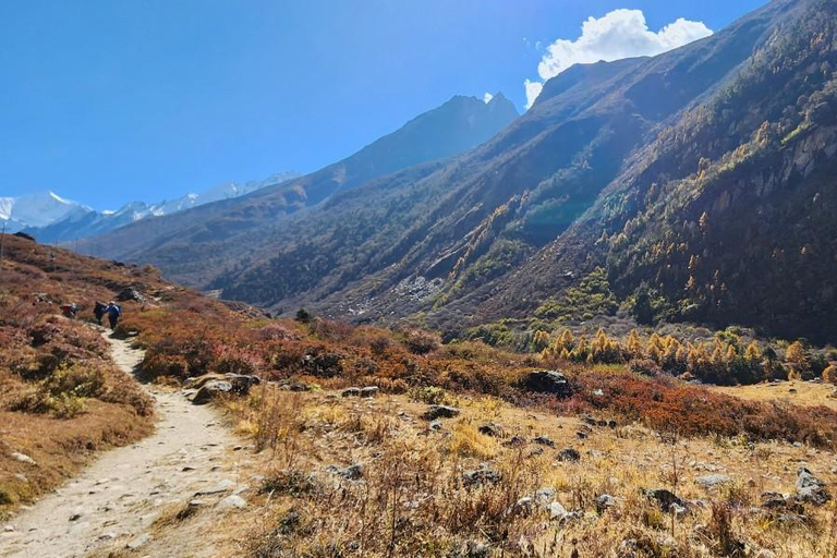 Trekking di 5 giorni sul Gosaikunda: un viaggio verso i laghi sacri