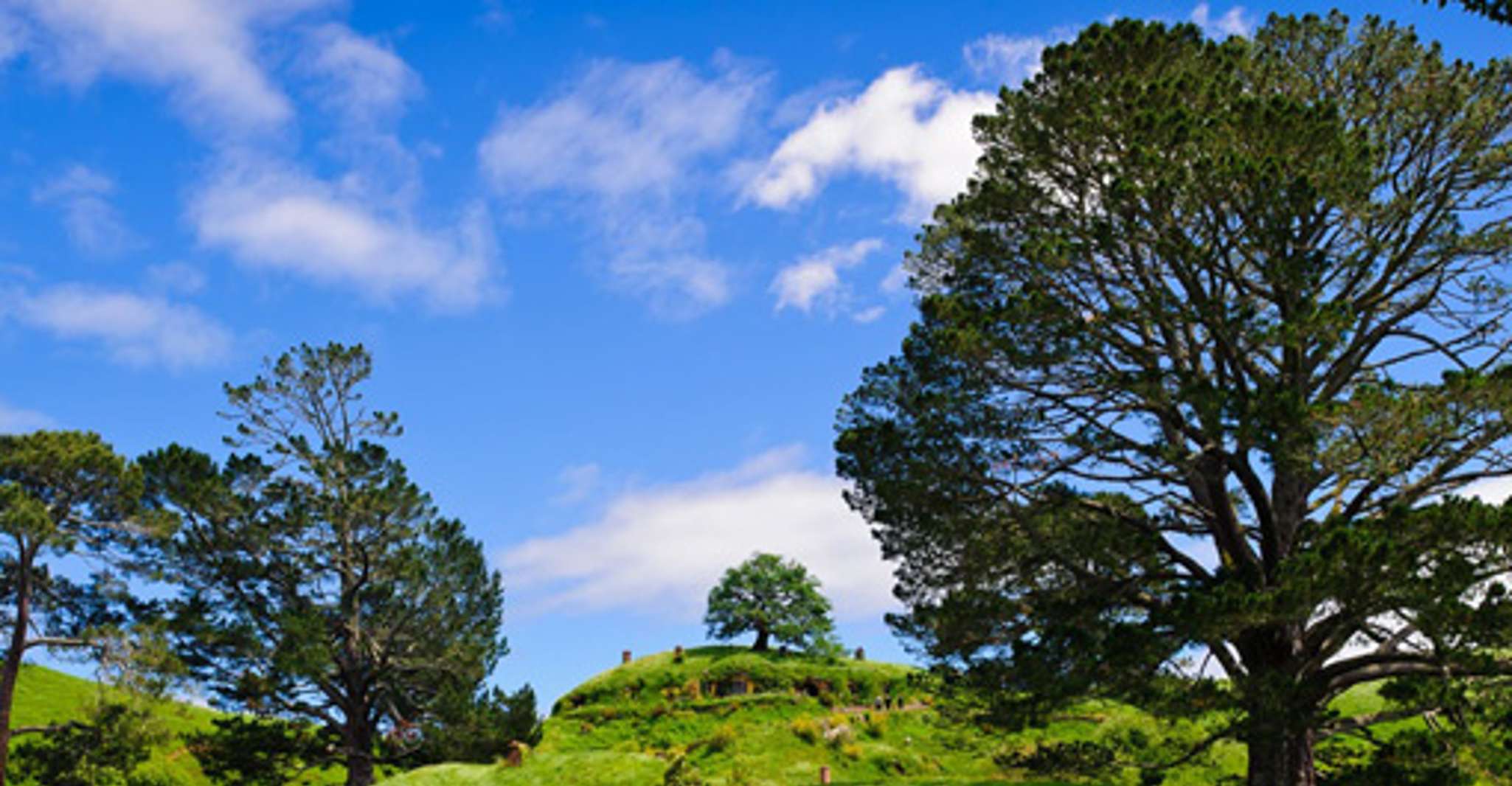 From Rotorua, Hobbiton Movie Set Tour with Festive Lunch - Housity