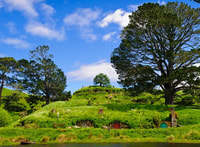 来自罗托鲁阿（Rotorua - Housity