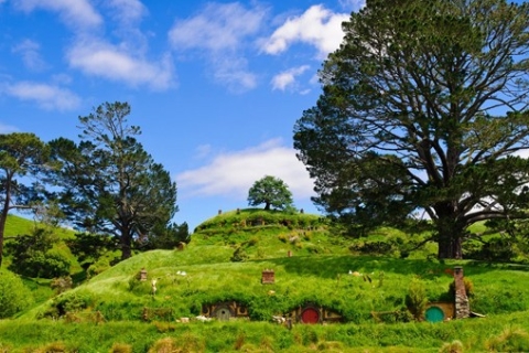 Depuis Rotorua : Visite du plateau de tournage de Hobbiton avec déjeuner festifDepuis Rotorua : excursion d'une demi-journée sur le plateau de tournage Hobbitebourg