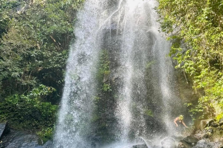 Nadi: Wycieczka do wodospadu z przekąskami i lunchemNadi: Wycieczka do wodospadu z poczęstunkiem i lunchem