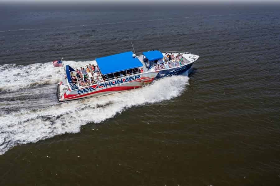 Myrtle Beach: Delphin-Kreuzfahrt auf der Sea Thunder. Foto: GetYourGuide