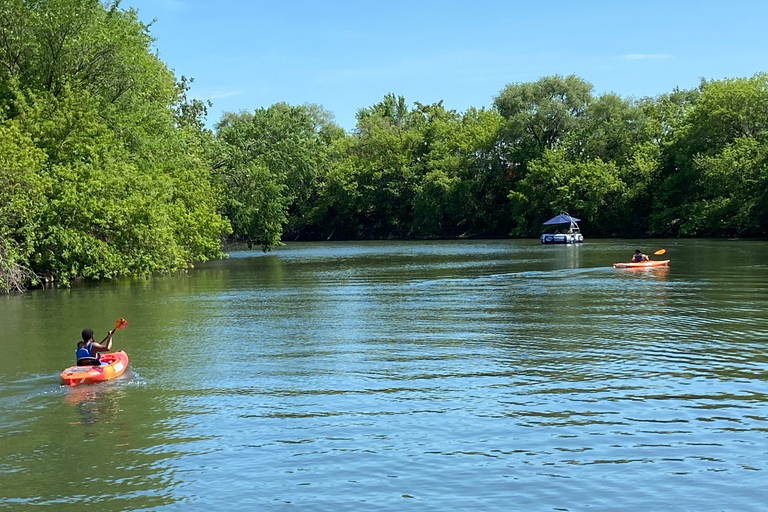 Chicago: 2-Hour Kayak Rental from Bridgeport