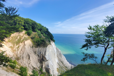 Møns Klint: Forest Tower, Møns Klint, and Fossil Hunt Tour UNESCO Møns Klint and Forest Tower Tour