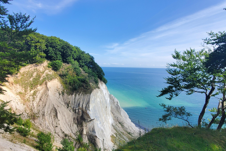 Møns Klint: Forest Tower, Møns Klint, and Fossil Hunt Tour UNESCO Møns Klint and Forest Tower Tour